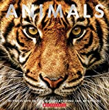 Animals : Witness life in the wild featuring 100s of species