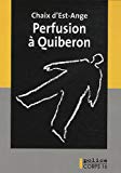 Perfusion à Quiberon [texte (gros caractères)] : roman /