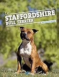 Le Staffordshire bull terrier /