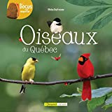 Oiseaux du Québec /