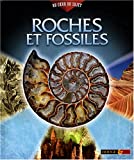 Roches et fossiles /