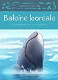 Baleine boréale /