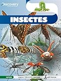 Insectes /