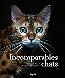 Incomparables chats /