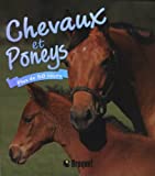 Chevaux et poneys : [plus de 50 races /