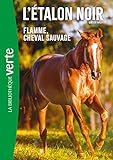 Flamme, cheval sauvage /