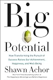 Big potential : how transforming the pursuit of success raises our achievement, happiness, and well-being /