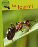 La fourmi /