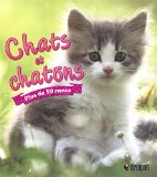 Chats et chatons /