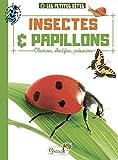 Insectes & papillons : observer, identifier, préserver /