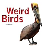 Weird birds /