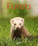 Furets /