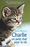 Charlie, un petit chat pour la vie /