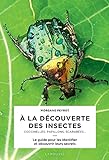 À la découverte des insectes : coccinelles, papillons, scarabées... /