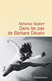 Dans les pas de Bárbara Dávalo : roman /