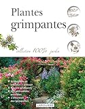 Plantes grimpantes /